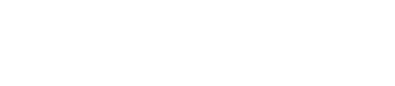 Future of Computing Institute (FOCI)